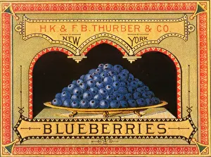Blueberry Label