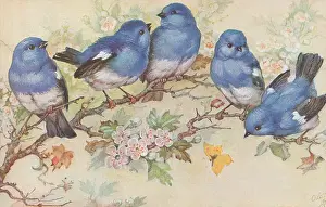 Bowley: Bluebirds on a branch