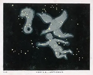 Aquila: BLUNT/AQUILA/ANTINOUS/37