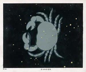 Blunt: BLUNT/CANCER/PLATE 41