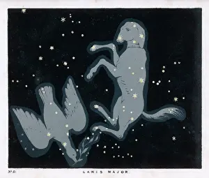 Blunt: BLUNT/CANIS MAJOR/PL 51