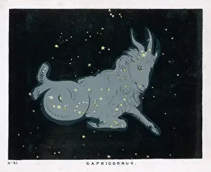 Capricorn: BLUNT/CAPRICORN/PL 47