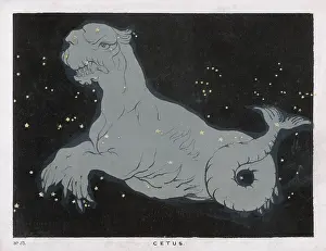 Blunt: BLUNT/CETUS/PLATE 53