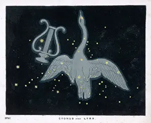 Lyra: BLUNT/CYGNUS & LYRA/PL32