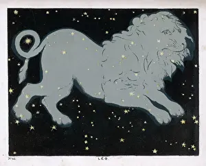 Blunt: BLUNT/LEO/PLATE 42
