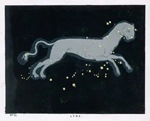 Hemisphere: BLUNT/LYNX/PLATE 26