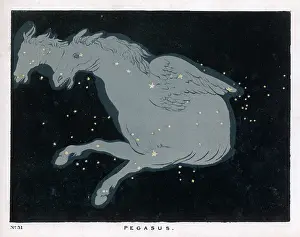 Andromeda: BLUNT/PEGASUS/31/1849