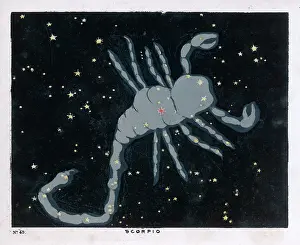 Scorpio: BLUNT/SCORPIO/PLATE 45