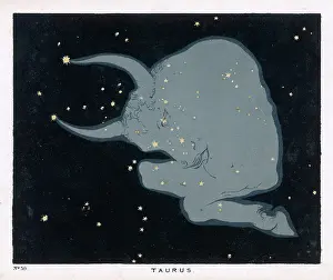 Forelegs: BLUNT/TAURUS/PLATE 39