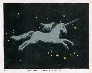 Unicorns: Blunt - Unicorn