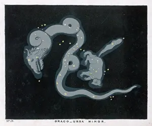 Ursa: BLUNT/URSA MINOR/PL 25