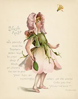 Personified: Blush Rose / Language of Flowers