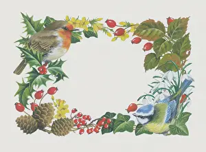Comerford: Boader with Robin and Blue Tit and winter plants