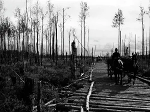 Blockade: Boardwalk at the Leningrad Front, 1941-43