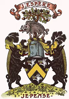 Confronting: Boars on Crest