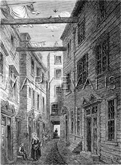 Boars: BOARS HEAD COURTYARD