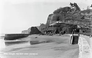 Cove: The Boat Cove, Dawlish