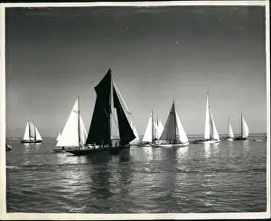 Rating: Boat Racing