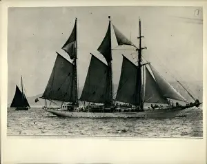 Torbay: Boat Racing