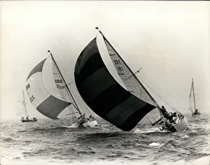 Brisk: Boat Racing