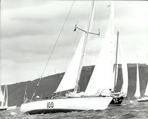 Bertie: Boat Racing