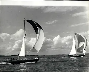 Firebrand: Boat Racing