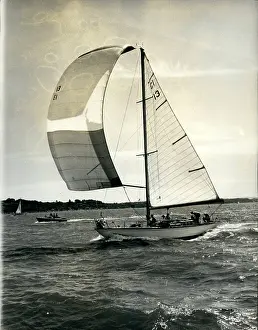Huon: Boat Racing