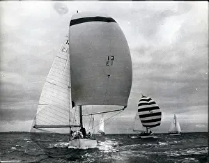 Biennial: Boat Racing