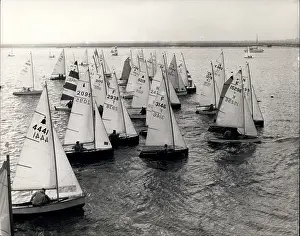 Helmsmen: Boat Racing