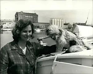 Koala: Boat Racing