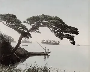Sweeping: Boatman on a lake under a sweeping tree, Japan