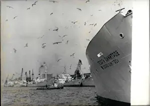 Varna: Boats - Sailing - Ships