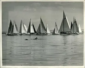 Boats - Sailing - Ships