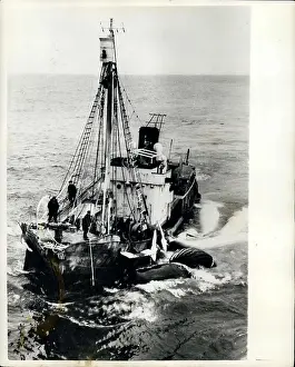 Gales: Boats - Sailing - Ships