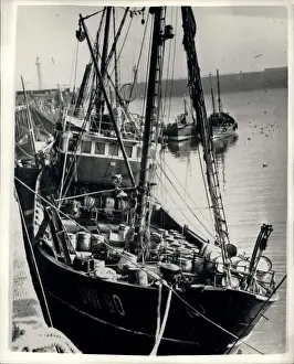 Steamed: Boats - Sailing - Ships
