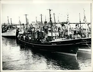 Trawlers: Boats - Sailing - Ships