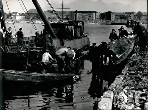Wrack: Boats - Sailing - Ships