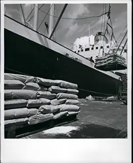 Powdered: Boats - Sailing - Ships
