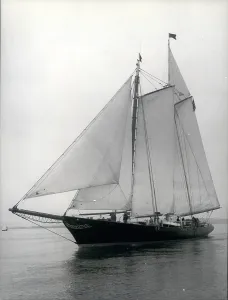 Accomplished: Boats - Sailing - Ships
