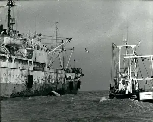 Trawlers: Boats - Sailing - Ships