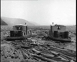 Congested: Boats Travelling Down A River Congested With Tree Trunks