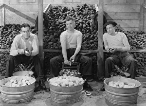 Potatos: Bob Hope and Eddie Bracken
