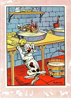 Lick: Bobby the dog and Fluff the cat in the dairy