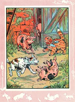 Piglets: Bobby the dog and Fluff the cat with piglets