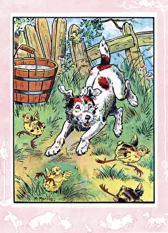 Boisterous: Bobby the dog playing with the chicks