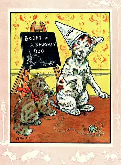 Reel: Bobby the dog wearing a dunce's cap