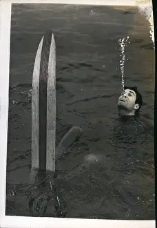 Unsinkable: Bobsledding - Skating - Skiing - Figure Skating