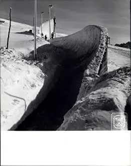 Bobsled: Bobsledding - Skating - Skiing - Figure Skating