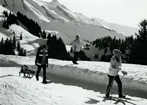 Sitter: Bobsledding - Skating - Skiing - Figure Skating