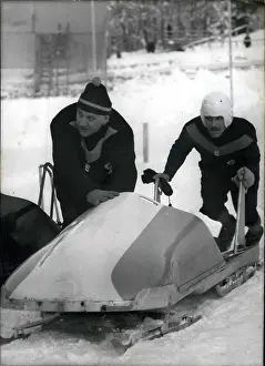 Bobsled: Bobsledding - Skating - Skiing - Figure Skating